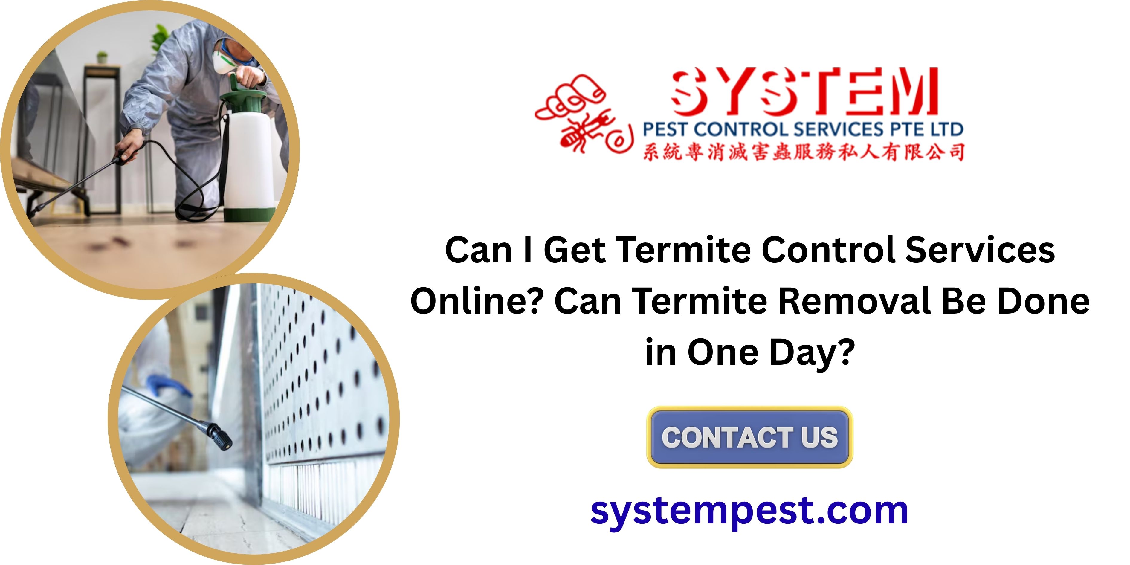 Can I Get Termite Control Services Online? Can Termite Removal Be Done in One Day?